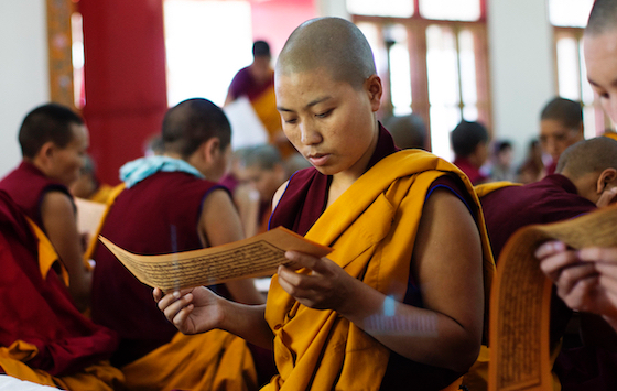 A buddhizmus minor kurzusválasztéka – 2023/2024 ősz